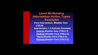 Clinical Care Classification System  Video 1 [upl. by Nivk]