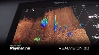 Raymarine RealVision 3D Sonar [upl. by Llednew]