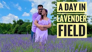 A Day In Lavender Festival  1st time in a Lavender Field  New Vlog [upl. by Joselyn]