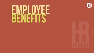 HR Basics Employee Benefits [upl. by Clare]