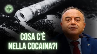 La COCAINA Storia e Processi  Nicola Gratteri [upl. by Leesa90]