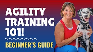 Beginner’s Guide to Dog Agility An Introduction to Get Started in Dog Agility  Dog Training [upl. by Tommi627]