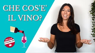 Che cosè il Vino Scopri come si produce il vino con Clara  Wine Salad  Scuola Online del Vino [upl. by Sellig310]