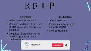 47 RFLPs Restriction Fragments Length Polymorphism  molecular markers شرح بالعربي [upl. by Apfel228]