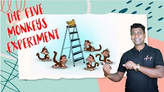 The Five Monkeys Experiment [upl. by Annoyk315]