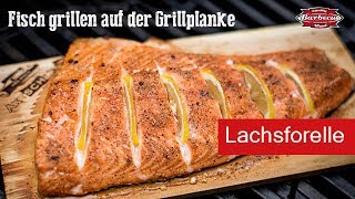 Lachsforelle einfach grillen auf der Grillplanke [upl. by Ruthi795]