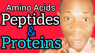 Amino Acid Sequencing Peptides and Proteins Explained [upl. by Nylek]