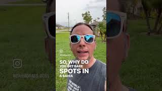 Bare spots and Bahia Grass lawn lawncaretips lawncarenation bahiagrass bahiagrassflorida [upl. by Aguie]