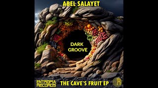 004B Dark Groove  EP The Cave´s Fruit  Abel Salayet  Entropía Records [upl. by Yurik51]