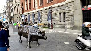 Worlds oldest and first stock exchange  Amsterdam Stock Exchange Euronext Amsterdam  4K Video [upl. by Aikyn]