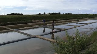 reportage  Marais salants [upl. by Xonk]