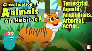 HABITAT OF ANIMALS  Classification Of Animals On Habitat  The Dr Binocs Show  Peekaboo Kidz [upl. by Adnarim399]