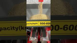 4 in 1 commercial rice mill processes 500600 kg of paddy per hour dawnagro ricemill [upl. by Easton272]