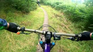 Mabie Forest E Bikes Rule 2024 [upl. by Ddej]