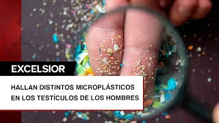 Hallan microplásticos cancerígenos en los testículos de los hombres [upl. by Aplihs]