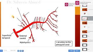 9 Anatomy of Maxillary artery and Pterygoid plexus of veins Dr Sabreen Ahmed [upl. by Norby]