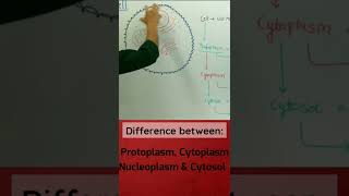 Protoplasm vs Cytoplasm vs Nucleoplasm vs Cytosol  apnasapnajrf [upl. by Conlan]