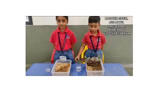 SOIL EROSION EXPERIMENT I SCIENCE EXPERIMENT I SCHOOL EASY COMPETITION EXPERIMENTISCIENCE SAVE EARTH [upl. by Hillhouse172]