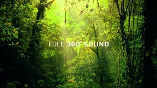 1080p Video With 360 Surround Sound [upl. by Wilma]