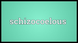 Schizocoelous Meaning [upl. by Fugere77]