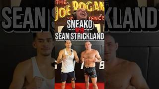 Joe Rogan on Sean Strickland smashing Sneako💀 [upl. by Adnal]