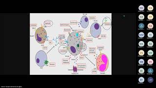 Recent Advances in Treatment of Angioedema by Ass Prof Dr Manar Farouk [upl. by Cly]