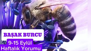 BAŞAK BURCU 915 EYLÜL HAFTASI YORUMU [upl. by Ardelle]