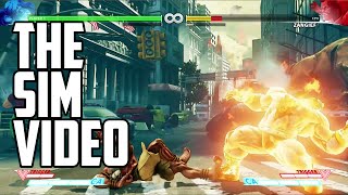 Street Fighter 5 Dhalsim Combo Video [upl. by Aicenra]