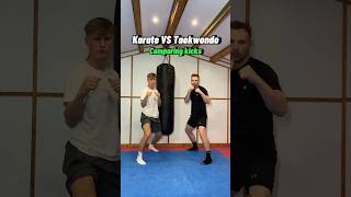 KARATE vs TAEKWONDO comparing kicks [upl. by Joh]