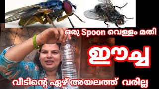 how to get rid of house flies naturally ഈച്ചയെ വീട്ടിൽ നിന്ന് അകറ്റാം [upl. by Akcebar245]