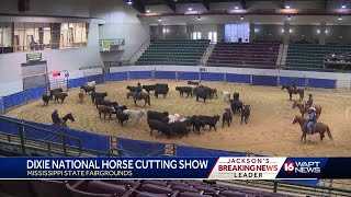 Dixie National Horse Cutting Show [upl. by Dawson]