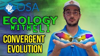 Convergent Evolution  Ecology with Eli [upl. by Crooks]