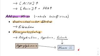 Nebenniereninsuffizienz  Morbus Addison Addison Krise  Einfach erklärt Deutsch [upl. by Ellenid]