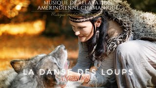 La danse des Loups Musique Chamanique Amérindienne avec Tambour et Chants de Lumières [upl. by Tahp]