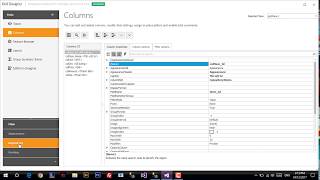 GridControl and LookupEdit Devexpress [upl. by Olwena]