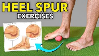 4 Heel Spur Exercises [upl. by Atteloiv]