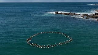 Surfers at Tuncurry beach remember Mark Sanguinetti [upl. by Coralie566]