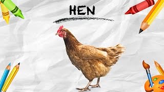 How To Pronounce HEN  मुर्गी  Pronunciation In HINDI  Birds  HD  Lehren Kids [upl. by Asante]