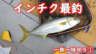 【インチクで根魚と青物を狙う】マイナーですが、インチクでの釣りをメインに情報を発信しています。根魚を狙うならインチクがオススメです。格安最釣インチクの作り方は説明欄からどうぞ！ [upl. by Ahsuoj]