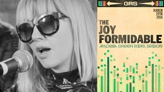 The Joy Formidable  Amoeba Green Room Session [upl. by Kcirdek126]