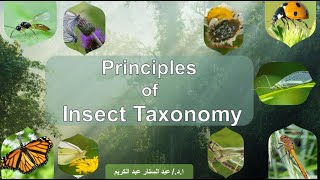 المراتب التقسيمية Taxonomic categories [upl. by Znieh163]