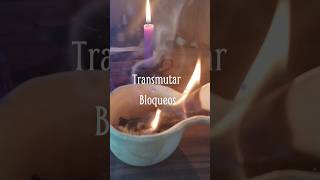 Transmutación energética tips mágicos brujeriatradicional witchcraft rituales wicca [upl. by Ablem508]