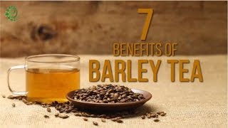 7 Reasons Why You Should Add Barley Tea To Your Diet  Organic Facts [upl. by Janessa]