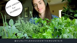 HERB GARDENS BEGINNERS GUIDE  HOW TO  GARDEN BASICS [upl. by Lezley]