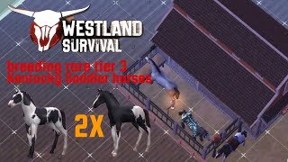 Westland Survival breeding same rare tier 3 Kentucky Saddler horses twice what happened [upl. by Enaujed]