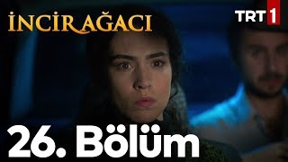 İncir Ağacı 26 Bölüm [upl. by Berriman]