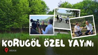 Düzce Korugöl Tabiat Parkı Özel Yayını [upl. by Bliss]