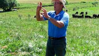 Joel Salatin of Polyface Farms discusses grassfed cattle [upl. by Eltsirc479]