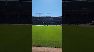 Wrigley Field view from the Ivy baseball cubs windycity vacation [upl. by Attekahs]