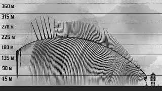 The New Biggest Titan  Attack on Titan Size Comparison [upl. by Daph]